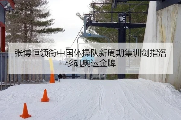 张博恒领衔中国体操队新周期集训剑指洛杉矶奥运金牌